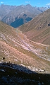 IMAG0053