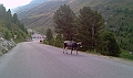 IMAG0075