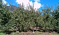 IMAG0093