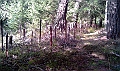 IMAG0132