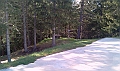 IMAG0136