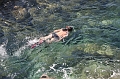 IMG_8536