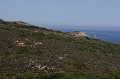 IMG_8632