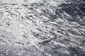 IMG_8724