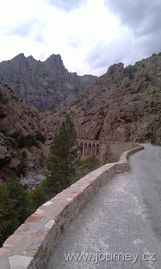 IMAG0231.jpg