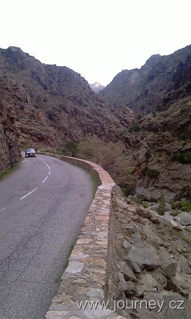 IMAG0232.jpg