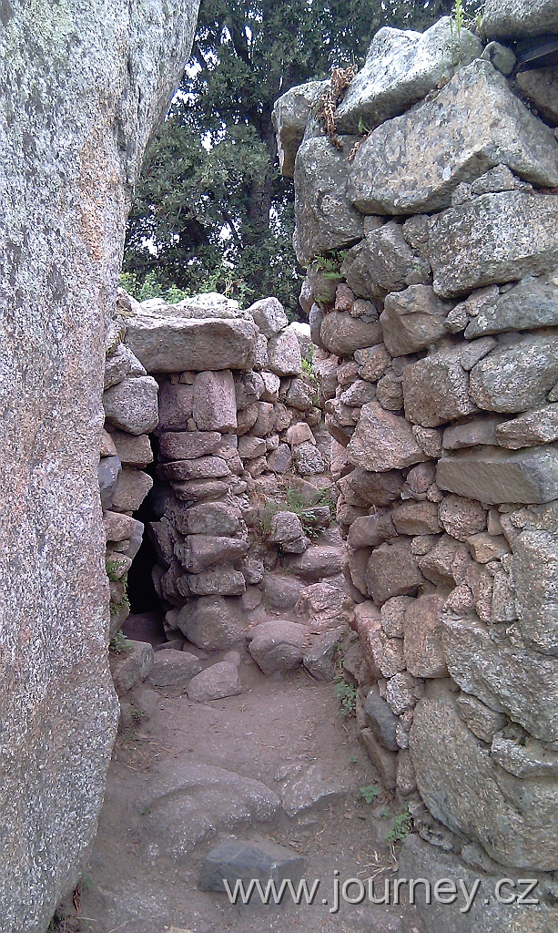 IMAG0242.jpg