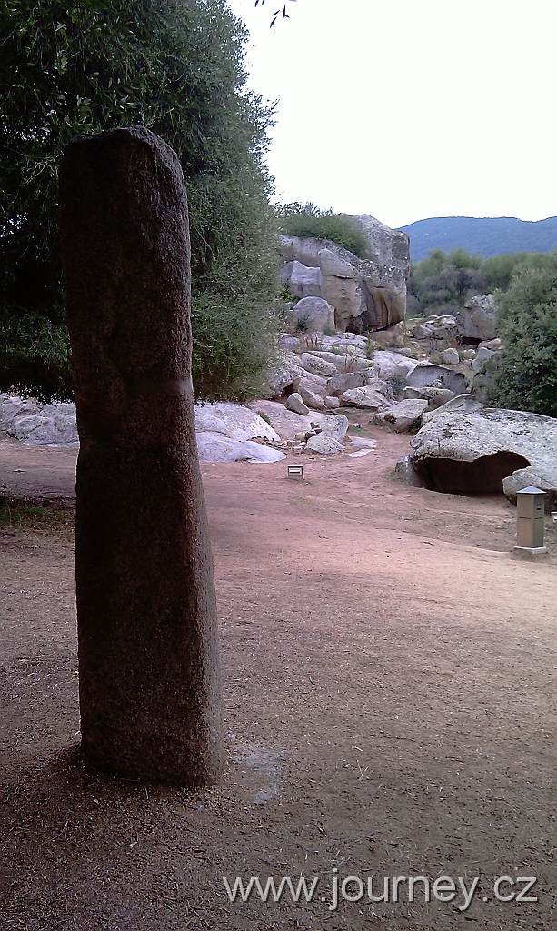 IMAG0250.jpg