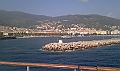 IMAG0172
