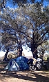 IMAG0173