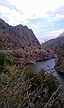 IMAG0229