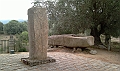 IMAG0236