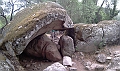 IMAG0237