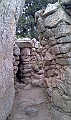 IMAG0242