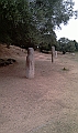 IMAG0246