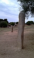 IMAG0247