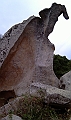 IMAG0249