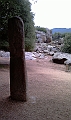 IMAG0250