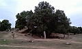 IMAG0252