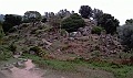 IMAG0253