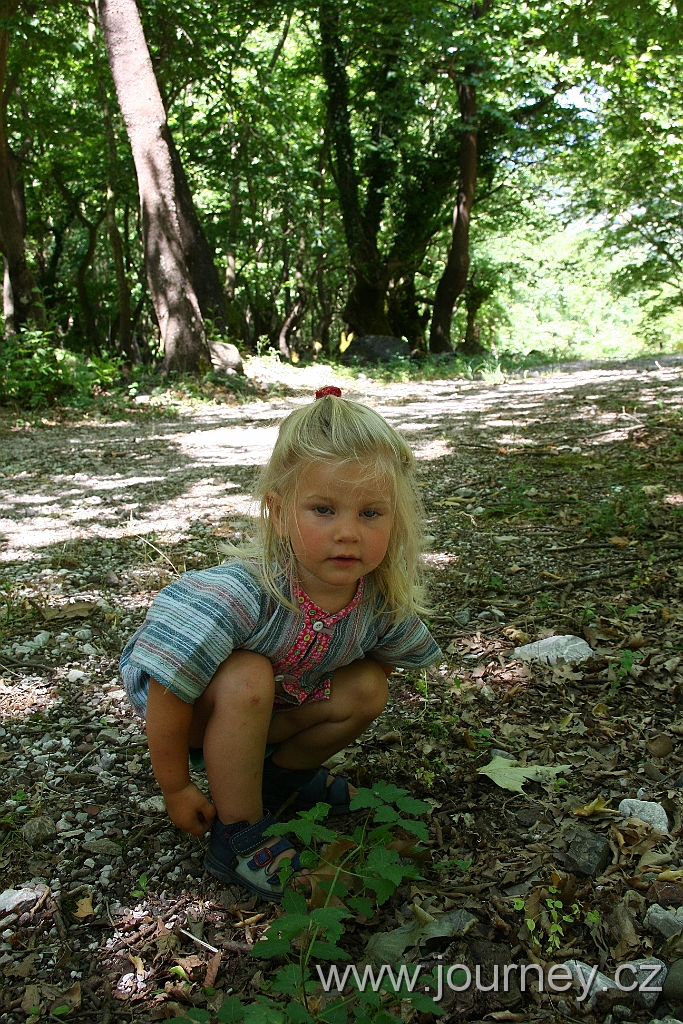 IMG_0982.JPG