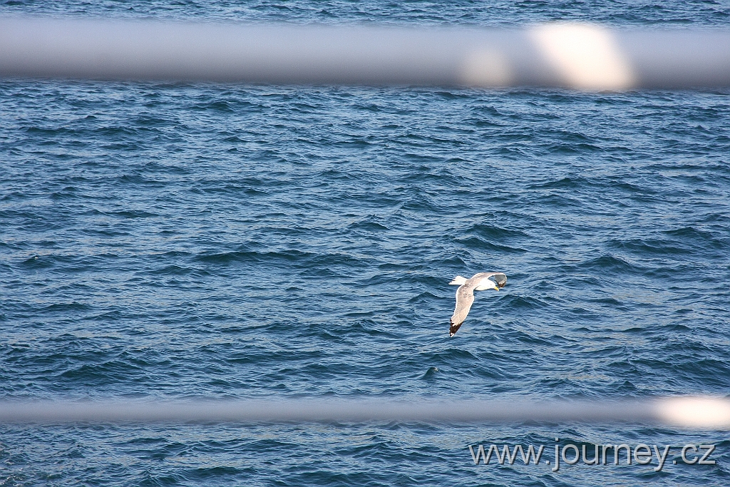 IMG_1085.JPG