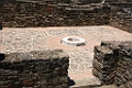 IMG_0594
