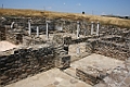 IMG_0597