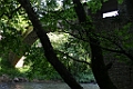 IMG_0963