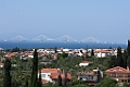 IMG_1050