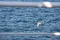 IMG_1085