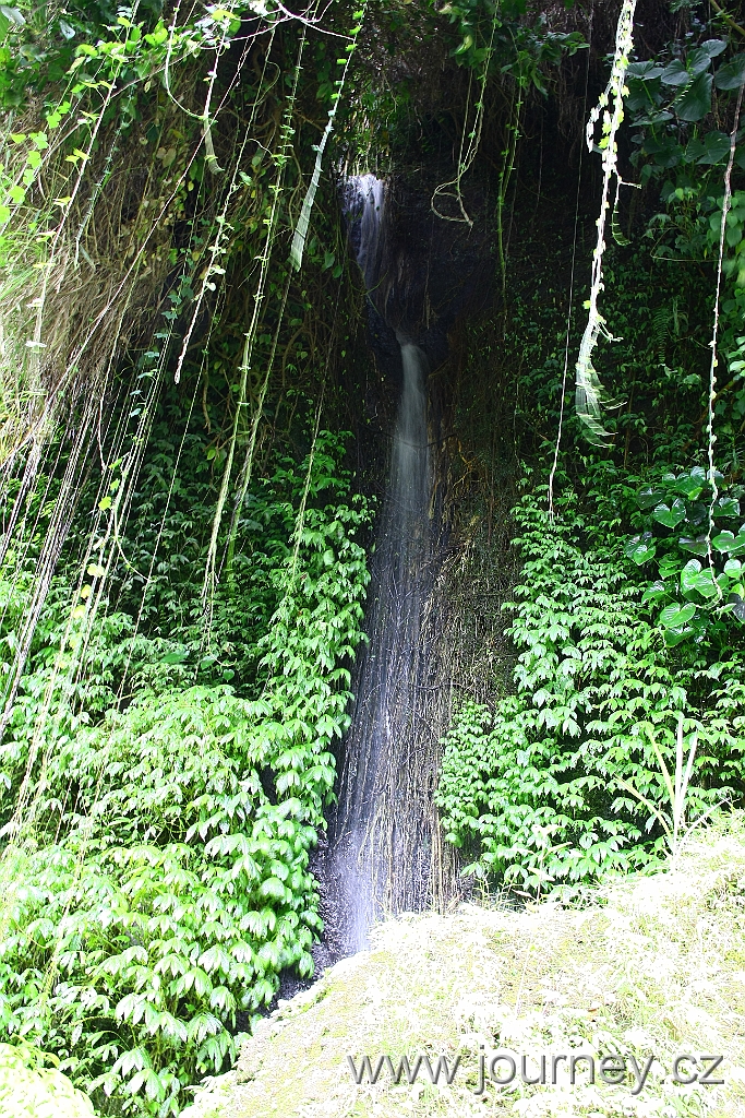 IMG_3417.JPG