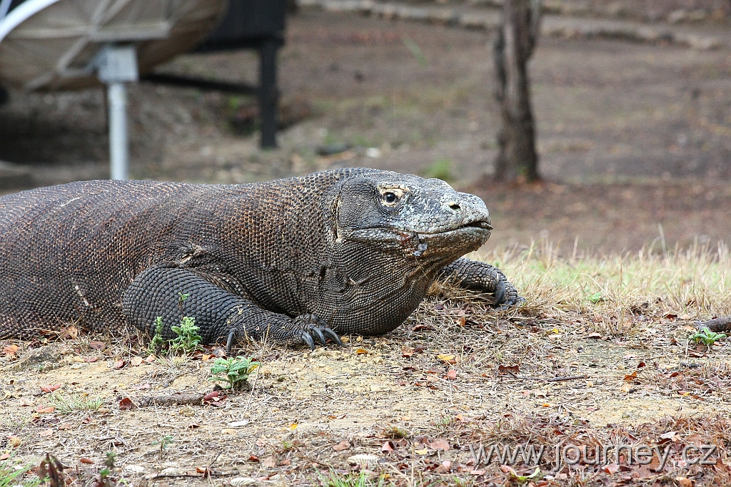 IMG_2714.JPG