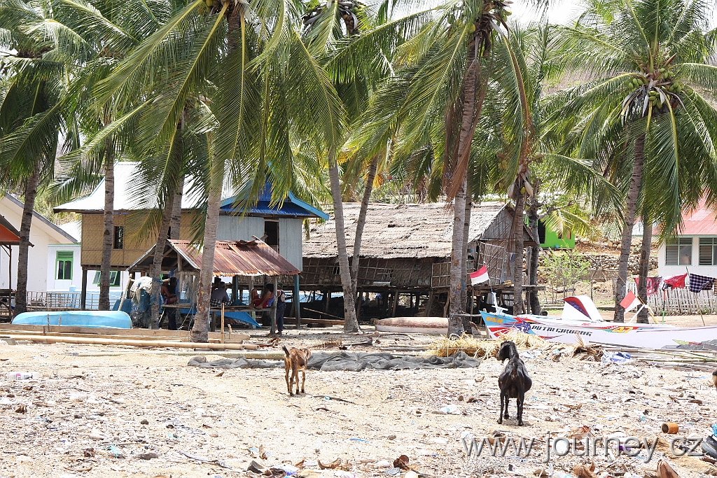 IMG_2987.JPG
