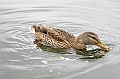 img_095