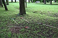 img_105