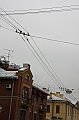 img_124