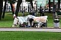 img_189