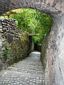 DSCF1631