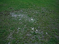 DSCF1725