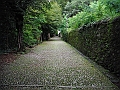 DSCF1756