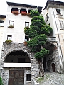 DSCF1760