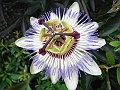 DSCF1780