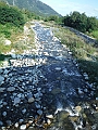 DSCF1791