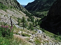 DSCF1800