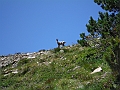 DSCF1811