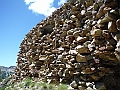 DSCF1822