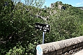 IMG_3832