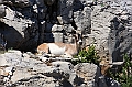IMG_3860