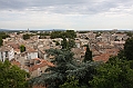 IMG_3956
